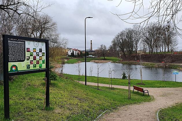 „Więcej drzew i krzewów w mieście – zielony Lębork”