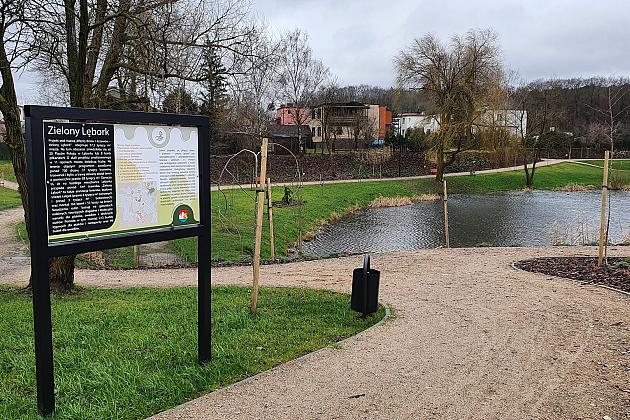 „Więcej drzew i krzewów w mieście – zielony Lębork”