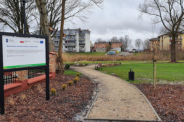 „Więcej drzew i krzewów w mieście – zielony Lębork”