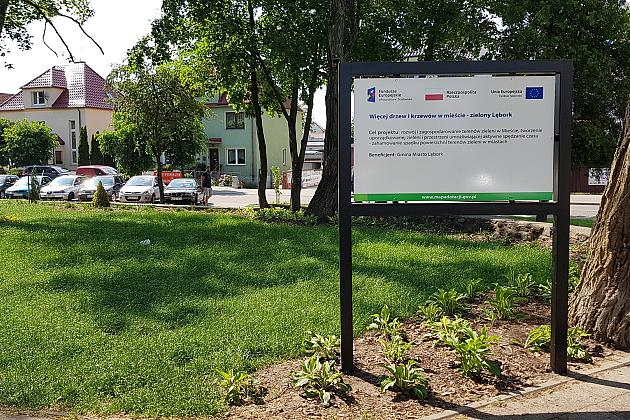 „Więcej drzew i krzewów w mieście – zielony Lębork”