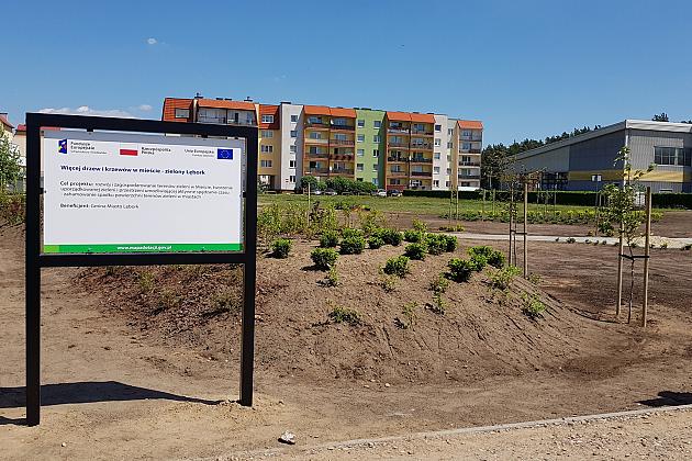 „Więcej drzew i krzewów w mieście – zielony Lębork”