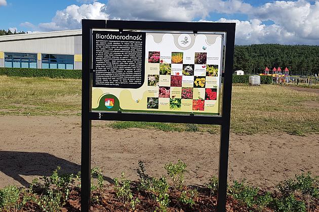 „Więcej drzew i krzewów w mieście – zielony Lębork”