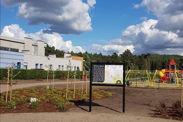 „Więcej drzew i krzewów w mieście – zielony Lębork”