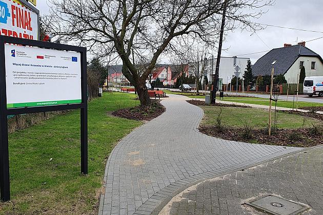 „Więcej drzew i krzewów w mieście – zielony Lębork”