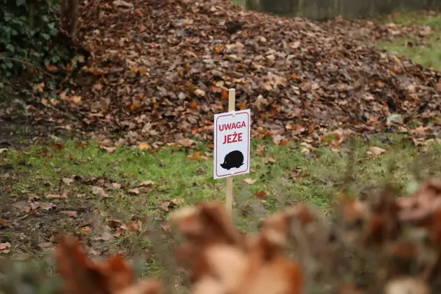 Zimowe azyle dla jeży w parku im. Mieczysława Michalskiego