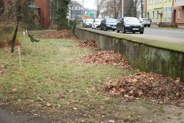 Zimowe azyle dla jeży w parku im. Mieczysława Michalskiego