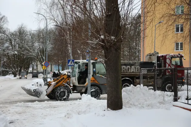 Akcja ZIMA. Poranny raport z 12 stycznia