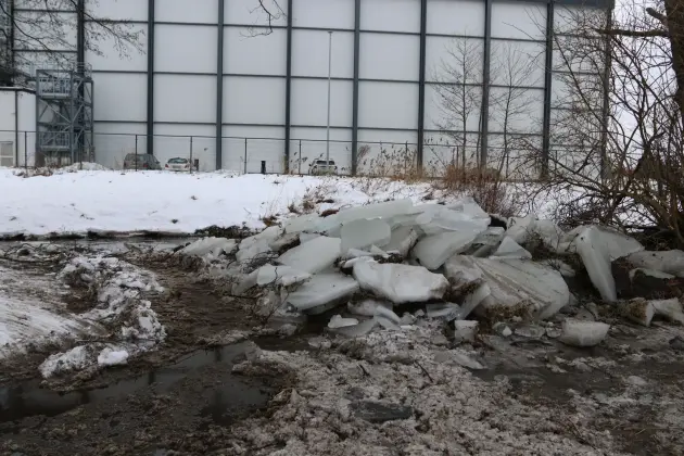 Koparki w akcji. Kruszenie grubego lodu na rzece Okalicy