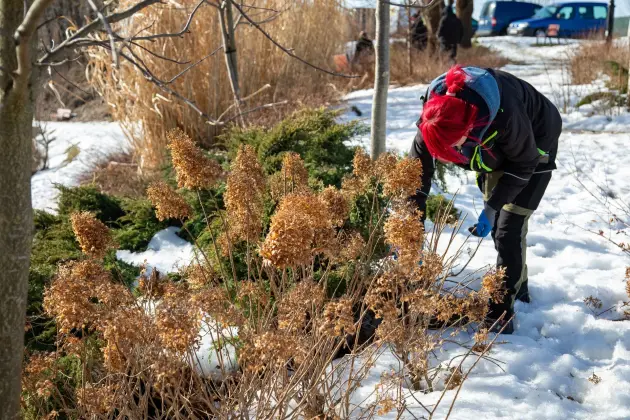 Lębork ruszył z wiosennymi porządkami