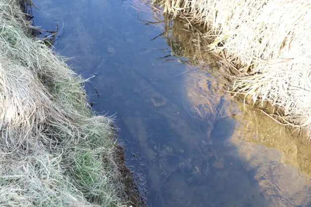 Wiosenne porządki w Lęborku - trwa konserwacja rowów melioracyjnych