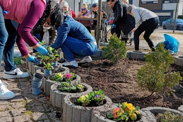 Wspólne działania dzieci i seniorów wokół Bazy