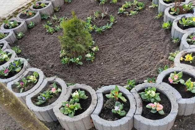 Wspólne działania dzieci i seniorów wokół Bazy