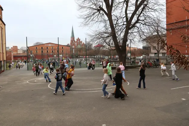 Zielona oaza przy „Trójce” – ruszają prace projektowe nowej strefy relaksu