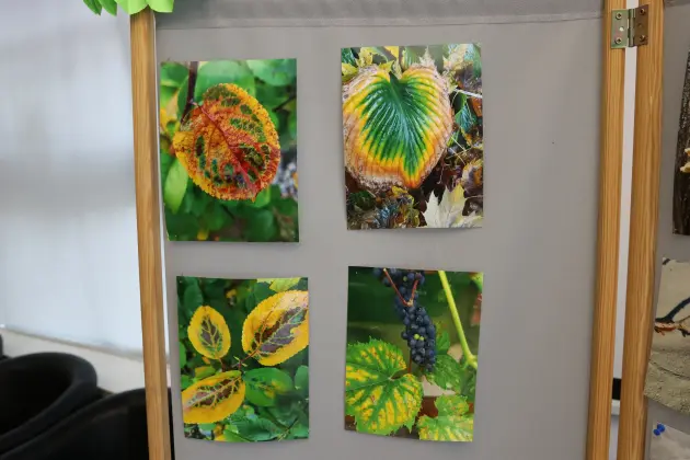 „Fotograficzny Świat” Adriany Licau – piękno natury uchwycone w obiektywie aparatu
