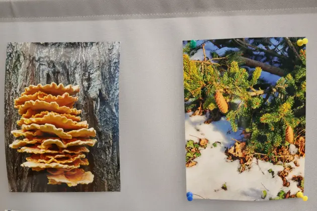 „Fotograficzny Świat” Adriany Licau – piękno natury uchwycone w obiektywie aparatu