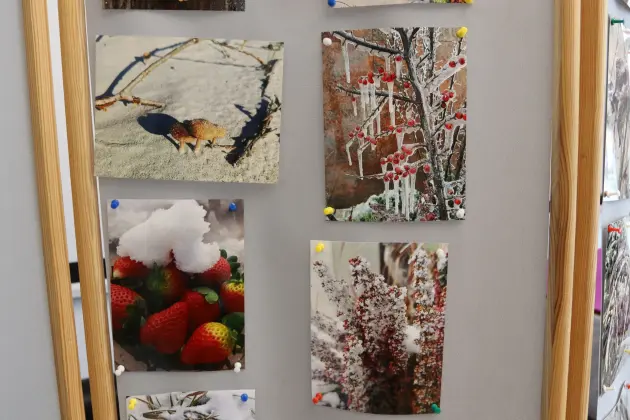„Fotograficzny Świat” Adriany Licau – piękno natury uchwycone w obiektywie aparatu