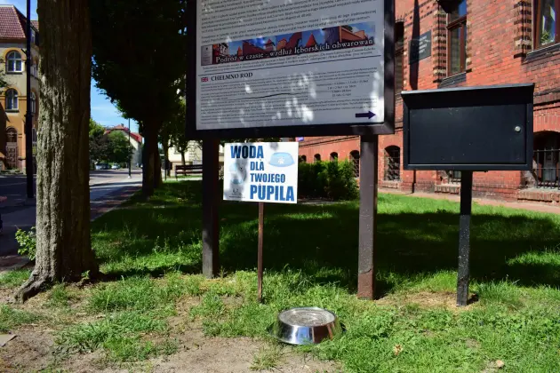 Miski z wodą dla psów ponownie stanęły przed ratuszem