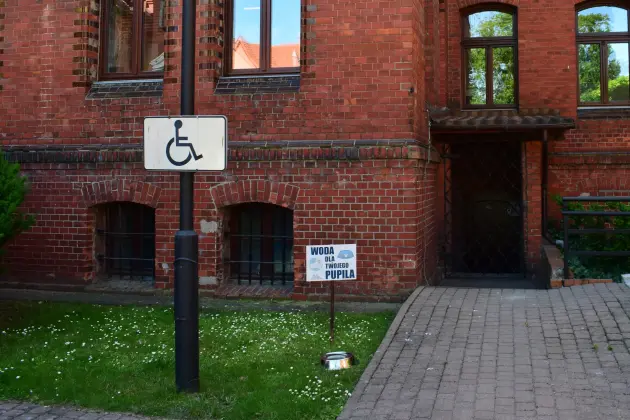 Miski z wodą dla psów ponownie stanęły przed ratuszem
