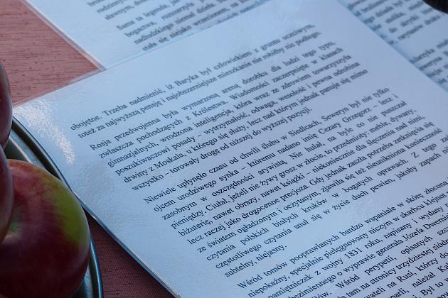 Przy fontannie z żabkami czytali „Przedwiośnie”