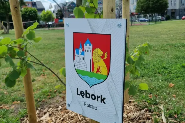 Lipa dla Lęborka rośnie w Tczewie. Powstała Aleja Miast Partnerskich i Zaprzyjaźnionych