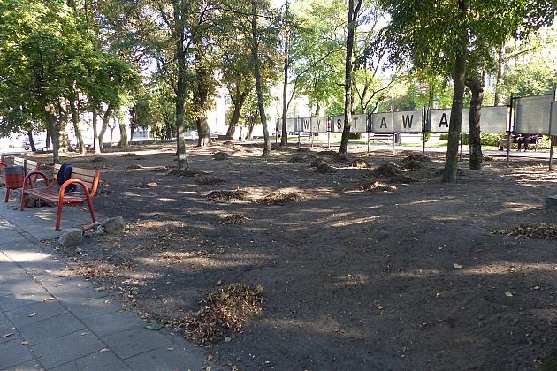 Rusza projekt „Zielony Lębork”. Na początek Park im. Michalskiego i staw przy ul. Gdańskiej