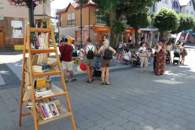 Alpaki zachwyciły uczestników Letniej Czytelni