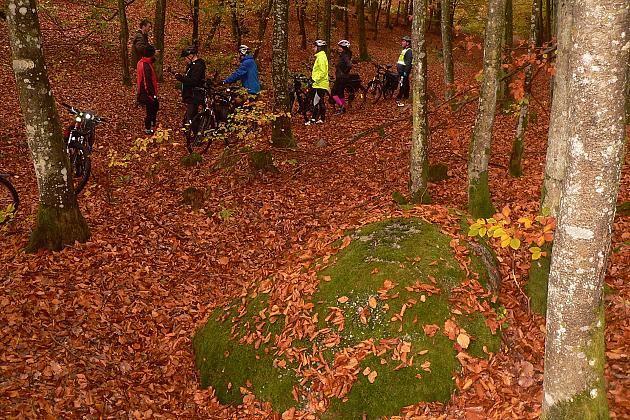 Rajd Pocztylion - rowerami po ziemi lęborskiej