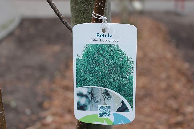 „Zielona rewolucja” w Parku im. Michalskiego