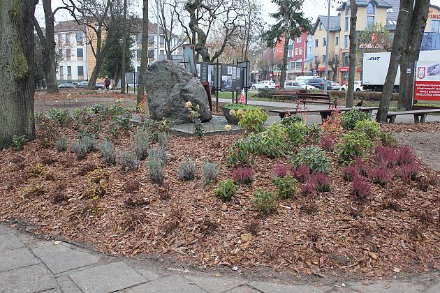 „Zielona rewolucja” w Parku im. Michalskiego