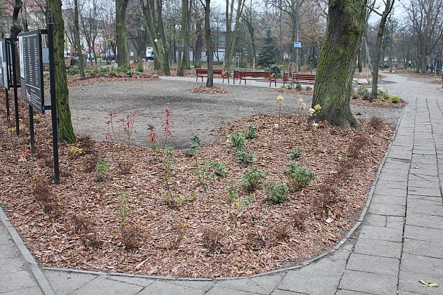 „Zielona rewolucja” w Parku im. Michalskiego