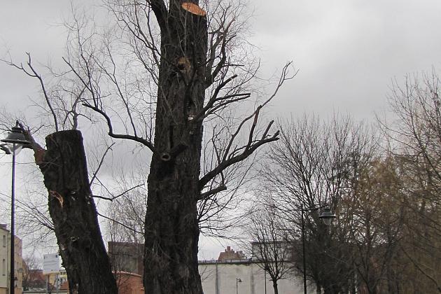 Na ratunek „Wodniczkom”