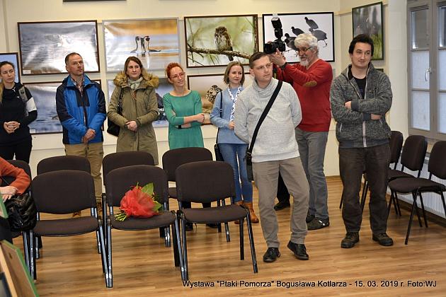 Obejrzyj wystawę „Ptaki Pomorza”
