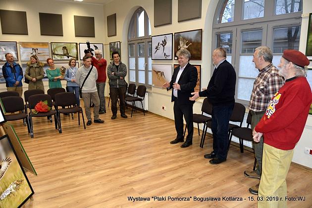 Obejrzyj wystawę „Ptaki Pomorza”