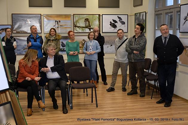 Obejrzyj wystawę „Ptaki Pomorza”