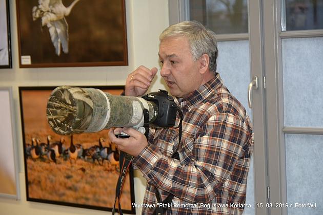 Obejrzyj wystawę „Ptaki Pomorza”