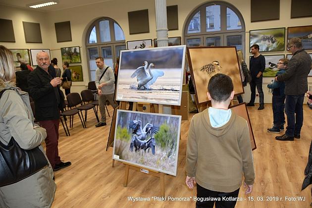 Obejrzyj wystawę „Ptaki Pomorza”