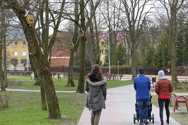 W Parku im. Michalskiego zawisły budki na ptaki i owady