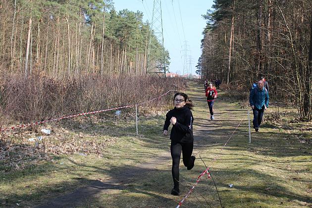 Biegi Przełajowe o Puchar Grand-Prix Lęborka