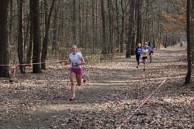 Biegi Przełajowe o Puchar Grand-Prix Lęborka