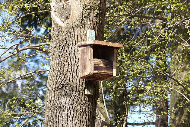 Zielono przy stawie w Parku Chrobrego