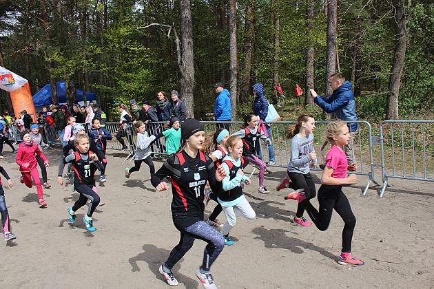 Biegali o Puchar Konstytucji 3 Maja