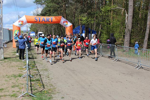 Biegali o Puchar Konstytucji 3 Maja