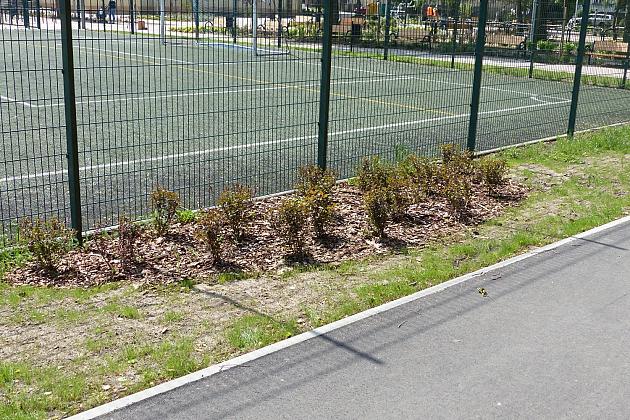 Rekreacja i wypoczynek. Rolkowisko oficjalnie otwarte!