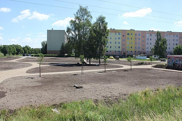 Przy Czołgistów powstaje teren zielony