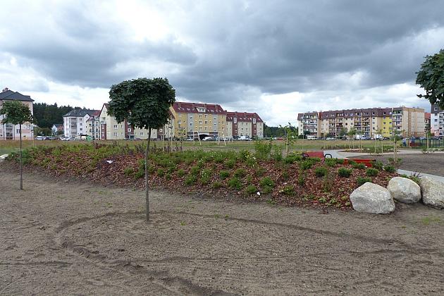 Zielone Osiedle Sportowa