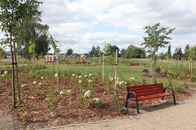 Zielona oaza przy Czołgistów