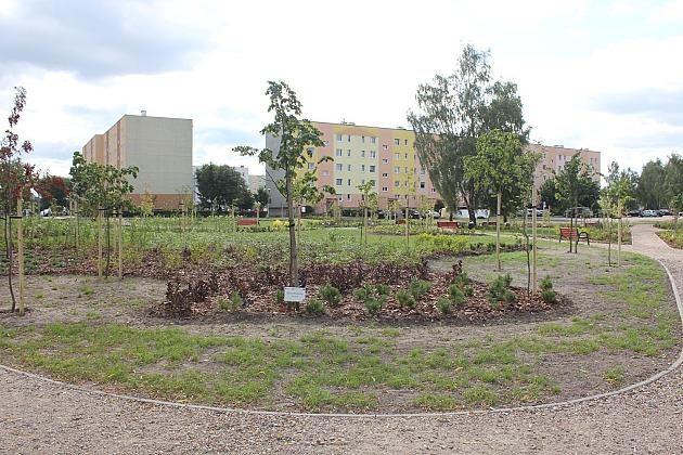 Zielona oaza przy Czołgistów