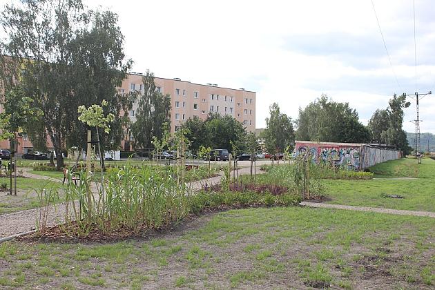 Zielona oaza przy Czołgistów