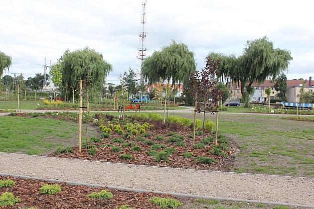 Zielona oaza przy Czołgistów