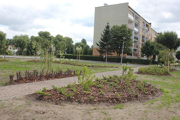 Zielona oaza przy Czołgistów